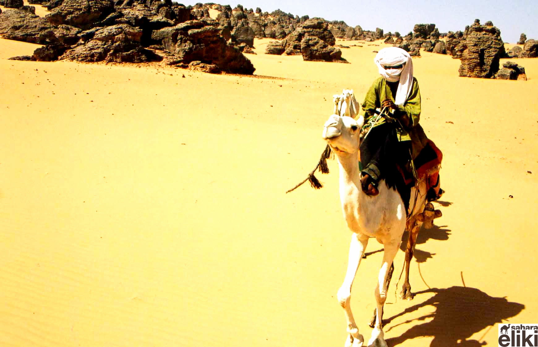 砂漠を旅する Sahara Eliki サハラ エリキ